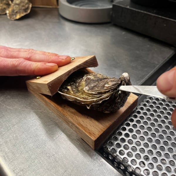 Professionell Ostronskörare
