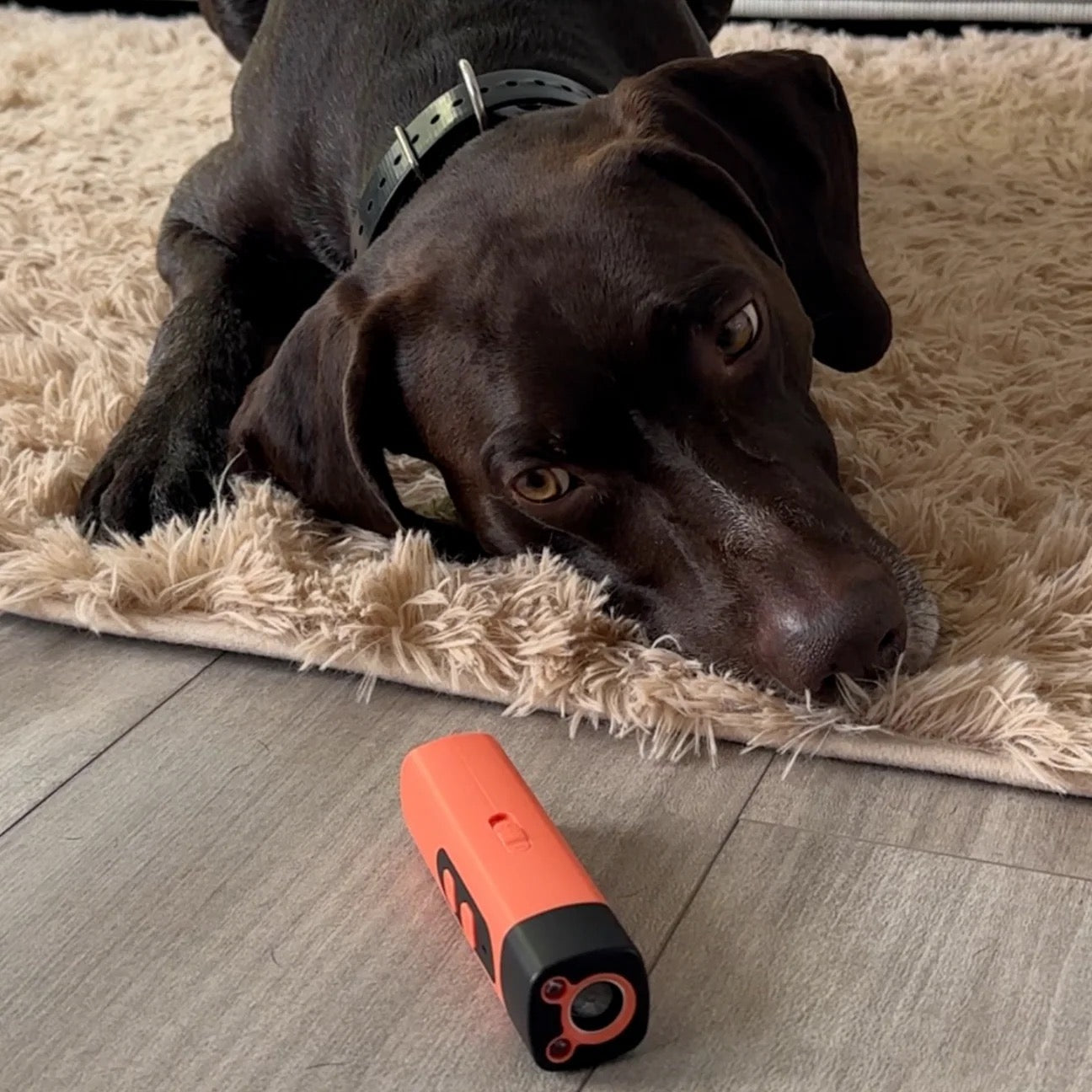 Anti-Bark Enhet