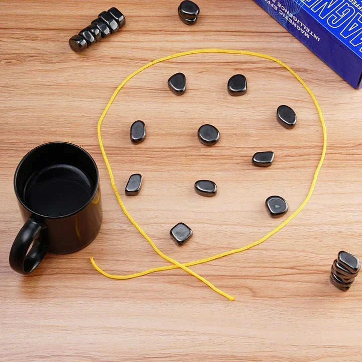 Magnetiskt Sällskapsspel