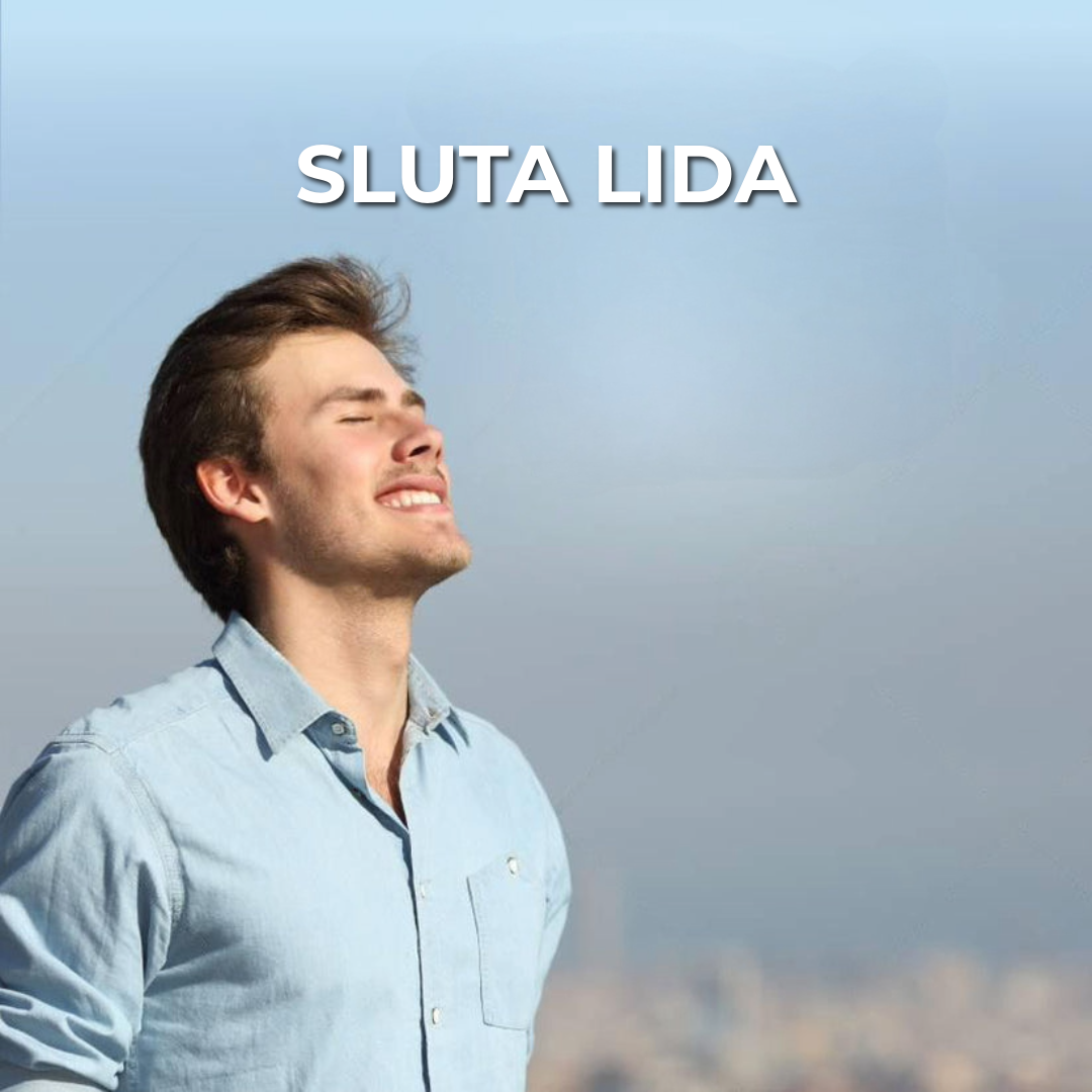 Professionell Bihålerensare
