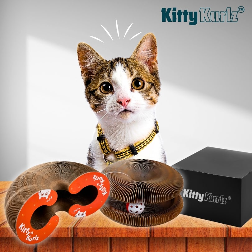 Kitty Kurlz™ Kattleksak
