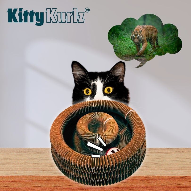 Kitty Kurlz™ Kattleksak