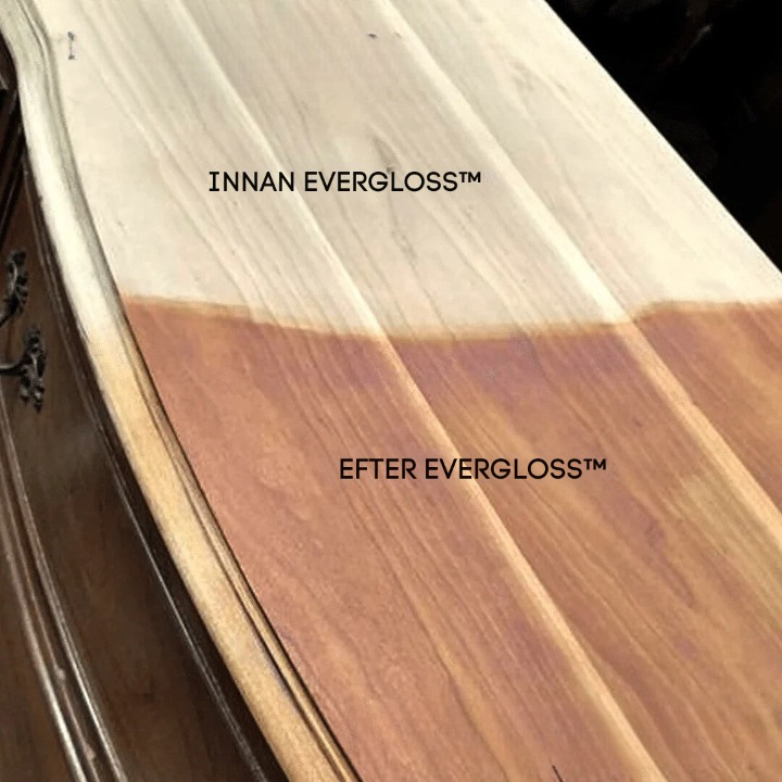 EverGloss - Reparationssalva för läder och trä + Pensel