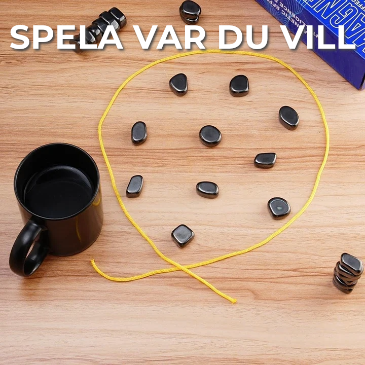 Magnetiskt Sällskapsspel