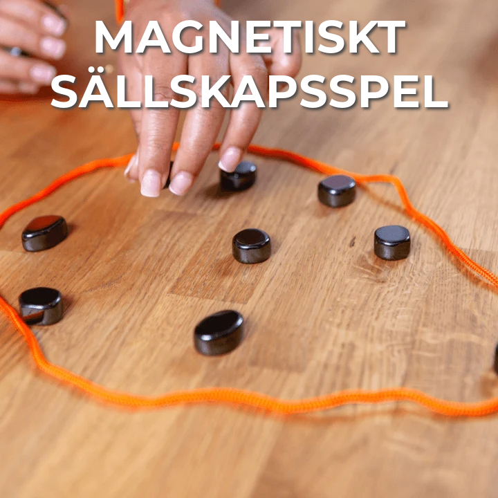 Magnetiskt Sällskapsspel