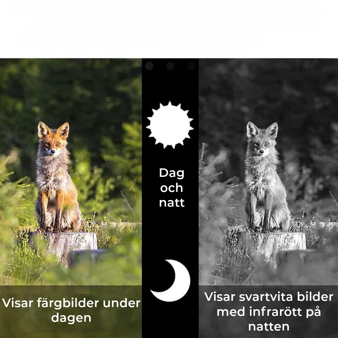Professionellt Infrarött Teleskop
