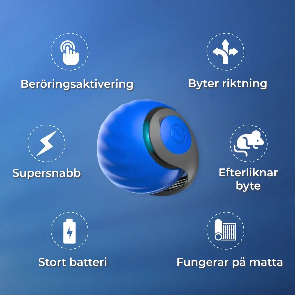 Interaktiv Kattleksak