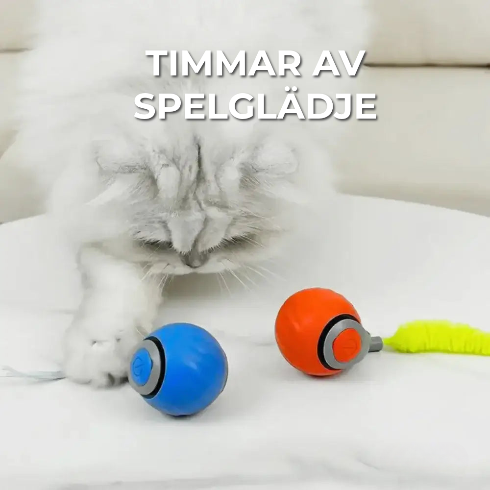 Interaktiv Kattleksak