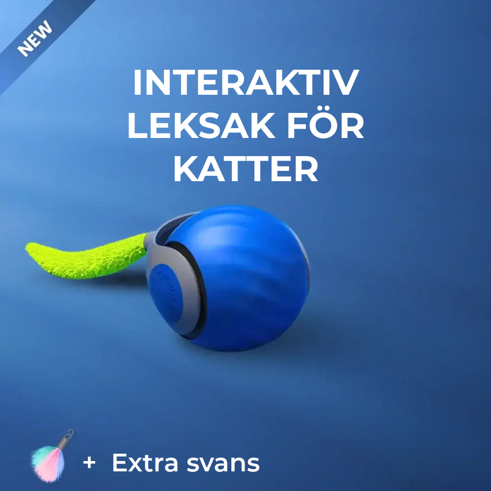 Interaktiv Kattleksak