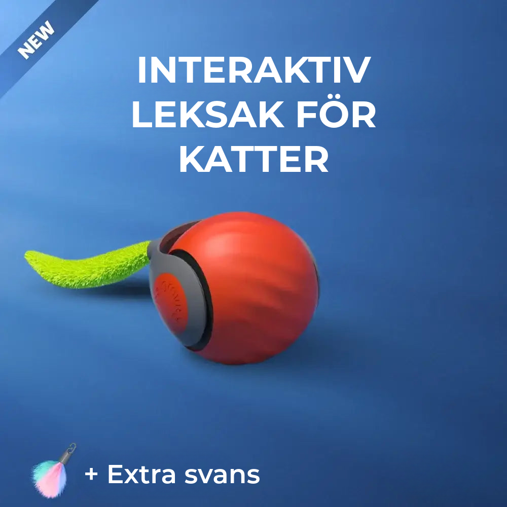 Interaktiv Kattleksak
