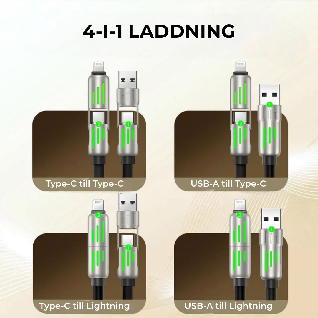 4-i-1 Multifunktionell Laddare
