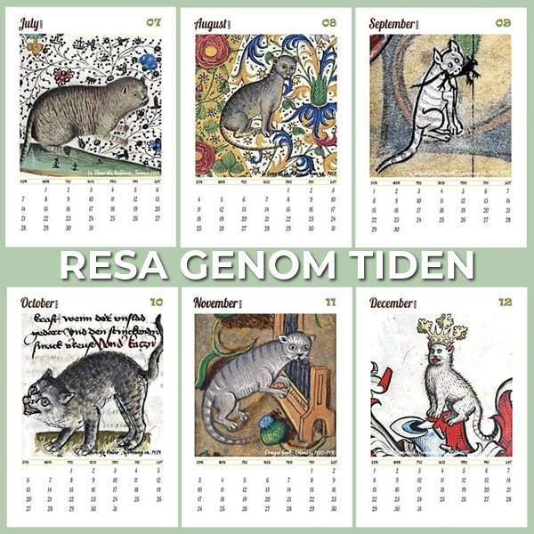 Medeltids kattkalender 2025