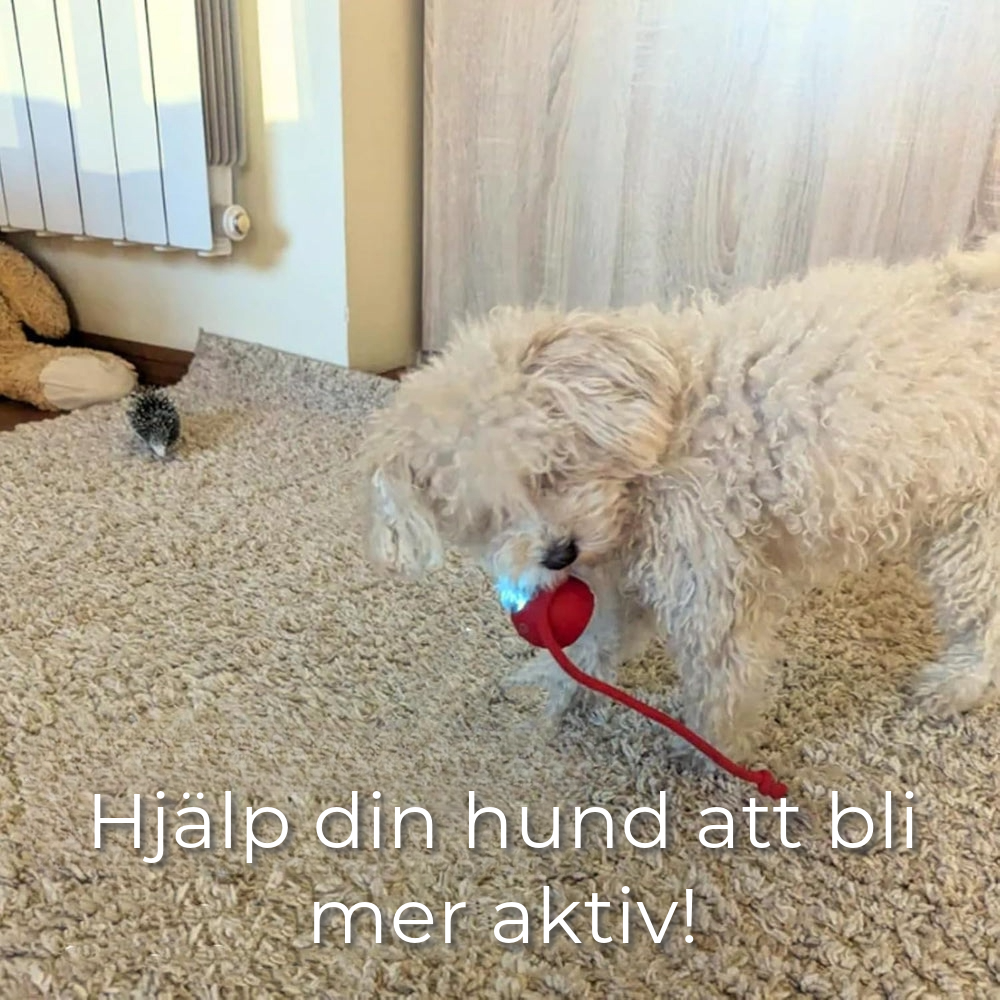 Interaktiv djurleksak