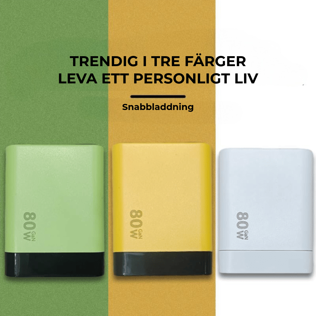 80W Snabbladdare