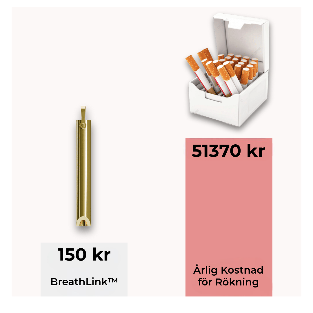 BreathLink™ Sluta Röka