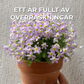 Planteringsbar Kalender 2025