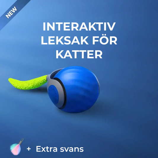 Interaktiv Kattleksak